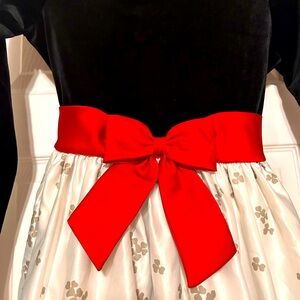 Rare edition holiday dress
